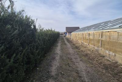 Casă cu 2 camere în Vasile Alecsandri - 3