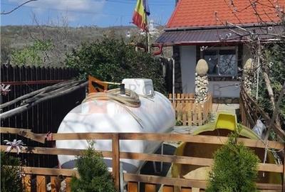 Casa tip parter zona Clondiru de Sus, com. Pietroasele - 33