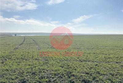 Teren de 700 mp, în Sud