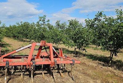 Teren de 140000 mp, în Bucov