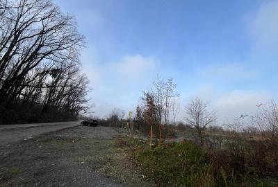 TEREN(URI) CU AUTORIZATIE DE INCHIRIAT IN BANEASA - SECTOR 1 - 8