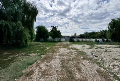 Teren Domnesti | Soseaua Curtea Domneasca | 1060 Mp-intravilan |2 Loturi de 530m - 11