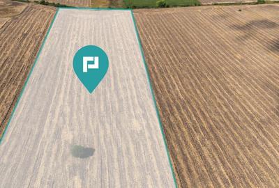 Oportunitate! Teren 4.345 mp Sagului - 4