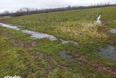 Teren de 833 mp, în Stolnici - 1