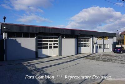 HALA + BIROURI, PARCARE GENEROASA - 14