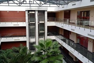 Proprietate specială, de 13,954 mp, în Otopeni - 3