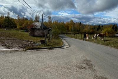 Teren intravilan 3.953 mp Ra?ca, Cluj - 8