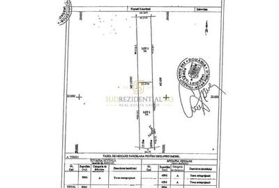 Teren intravilan 9.996 mp, Popesti-Leordeni–Splaiul Unirii - 6