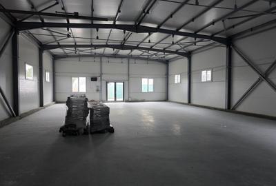 Pallady, hala depozitare, productie in zona Pallady, 140 mp pret 1000 euro - 9