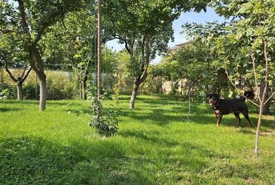 Casă cu 5 camere cu Teren 840 Mp în Lipovei