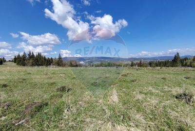Teren intravilan in Suceava,Neagra Sarului,3002m.p.la 20km de V.Dornei - 2