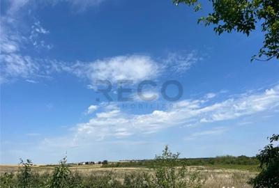 Teren de 39000 mp, în Leș - 3