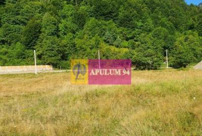 Teren Jude?ul Valcea - Brezoi, Valea lui Stan - 9