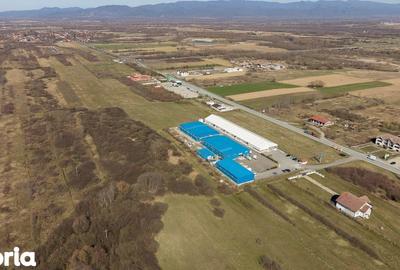 Teren de 7194 mp, în Carașova - 4