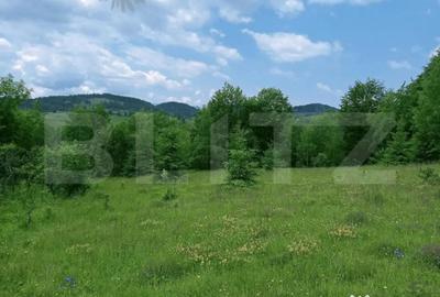 Teren în Scărișoara - 8