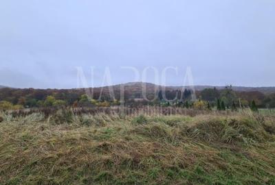 Teren intravilan industrial de vanzare in Gilau - 1