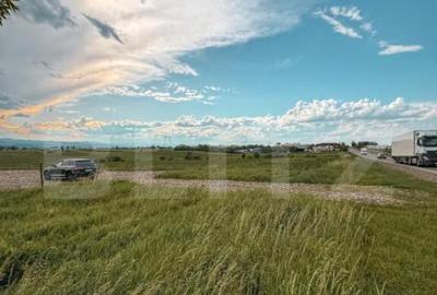 Oportunitate Investi?ie - Teren extravilan, 5000mp, 20 ml - - 1