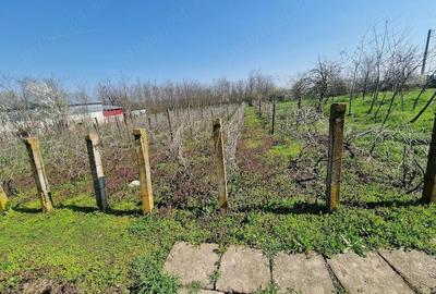 Casă cu 4 camere cu Teren 2170 Mp în Nucetu - 5