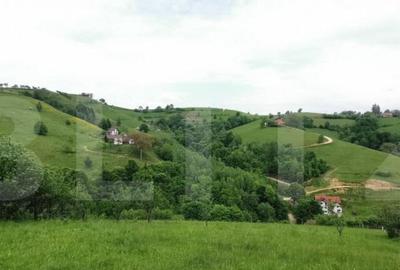 Teren, 12.928 mp, Poiana Marului, Bra?ov Teren, 12.928 mp, Poiana Marului, Bra?ov - 2