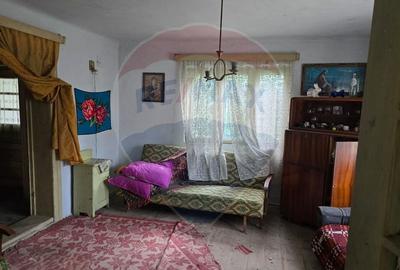 Comision 0! Casa din inima Subcarpaților — comuna Cislau, teren 5000mp - 28