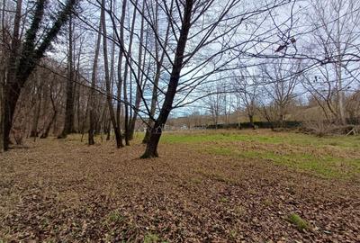 Resita, Teren Drept Intravilan, Langa Prau si Drum, Parcelab - 5