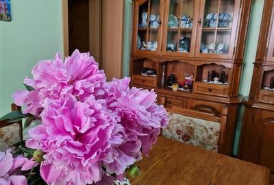 Pe incantare florala, casa cu 5 camere, curte individuala - Central, Brasov - 46