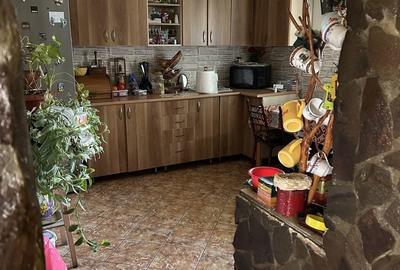 Casă cu 2 camere în Mureșeni - 9