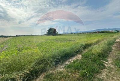 DE VANZARE- Teren INTRAVILAN in Coltau - 1