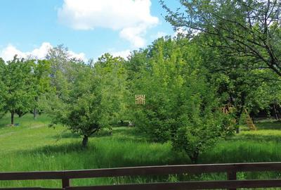 Teren Intravilan in oras Suceava Cartier Zamca - 25 a... - 13