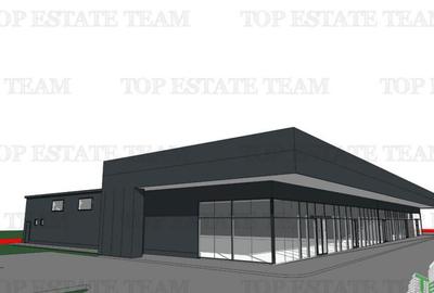 Galerie comerciala Bucuresti-Ilfov 100% inchiriata - 6