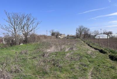 Spațiu comercial, în Luciu - 3