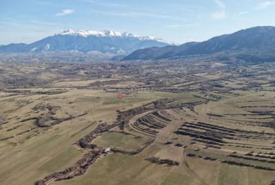 Teren Construcții intravilan de 4043 mp, în Predeluț - 27