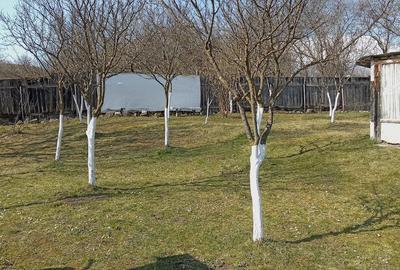 Casă cu 2 camere cu Teren 1200 Mp în Central - 7