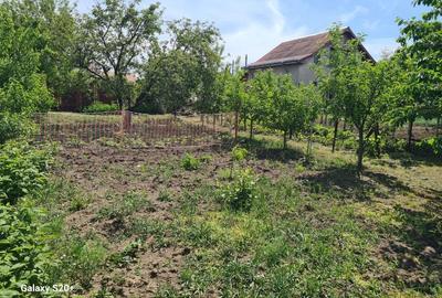 Spațiu comercial, în Cătămărești - 4