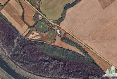 Teren de 80000 mp, în Sud - 3