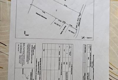 Teren agricol intravilan în Nemțișor