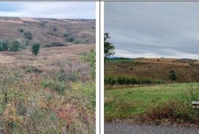 Teren extravilan pasune Ardeoani, ID: R2404613 - 6