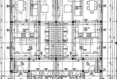 Duplex cu 10 camere cu Teren 765 Mp în Rudicica - 2
