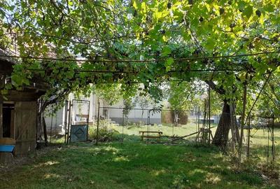 Casă cu 4 camere în Rușii-Munți - 3