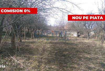 Teren de 1292 mp, în Feleacu - 5