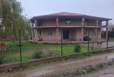 Inchiriez Vila 5 camere in Padurea Snagov, Silistea Snagovului - 2