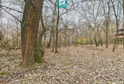 Teren agricol extravilan de 5000 mp, în Periam - 32
