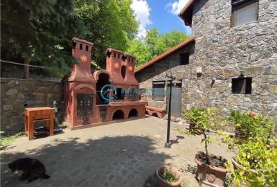 Royal Imobiliare -vanzare vila/ casa de vacanta zona CAMPINA - 34