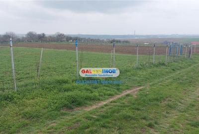 Teren 3600 mp., Manastirea Doamnei! - 3