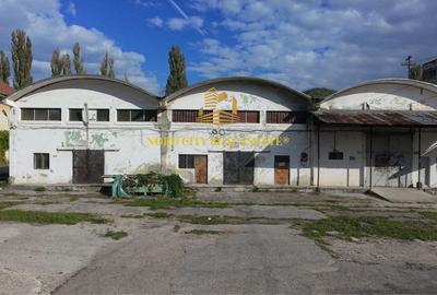 Spațiu industrial, de 21,018 mp, în Exterior Vest - 19