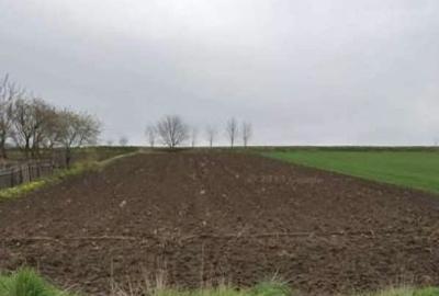 Teren curs constructii Cotu Vames - 1