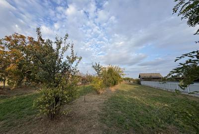 Teren Construcții intravilan de 1104 mp, în Becicherecu Mic - 3