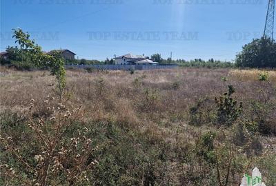 Teren 1491 mp in zona rezidentiala din Ciorogarla Teren 1491 mp in zona rezidentiala din Ciorogarla - 10