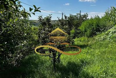 Casă cu 3 camere cu Canalizare în Secuieni - 18