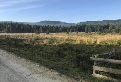 Teren de 2928 mp, în Comandău - 5